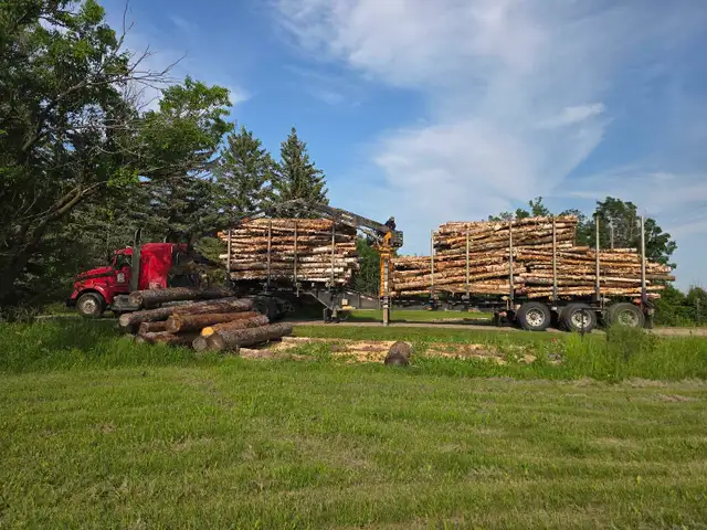 Truckload Firewood Delivery Across Saskatchewan  in Plants, Fertilizer & Soil in Regina - Image 7