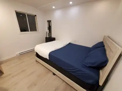 01 Chambre à louer - Appartement 6 1/2 entièrement refait à neuf. La chambre restante est à 550$ par...