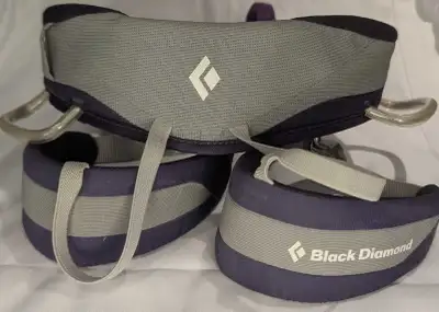 Black Diamond Children's Climbing Harness (Purple), View more