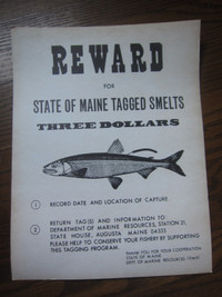 Vintage Fishing Reward Sign
