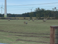 Second cut hay 