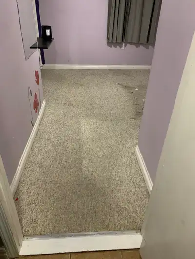 Quote for carpet removal and install 