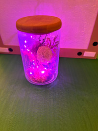 Decorative lighted flower jar