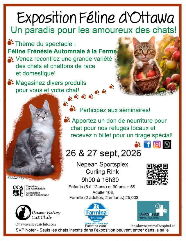 Ottawa Cat Show
