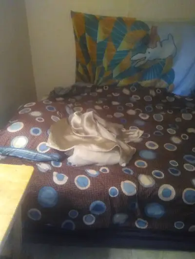 It has own entry. Must like cats. No other animals. No heavy duty drugs or alcohol. 420 OK. No smoki...