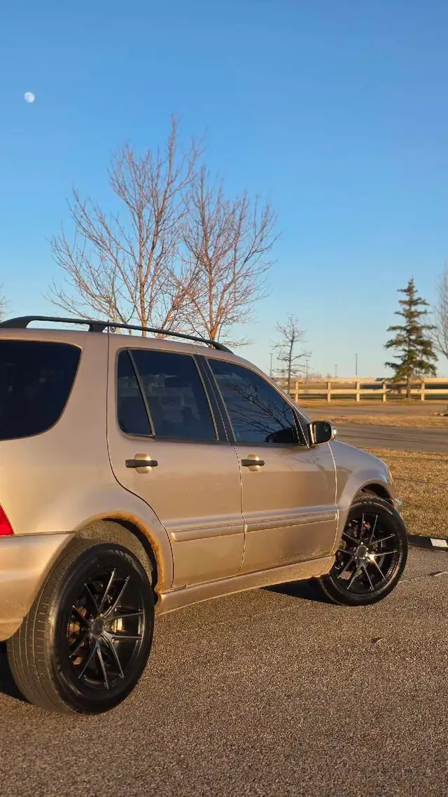 2003 Mercedes ML 350568795635500994561