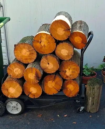 Wooden Post and Picnic Table Cuts, View more