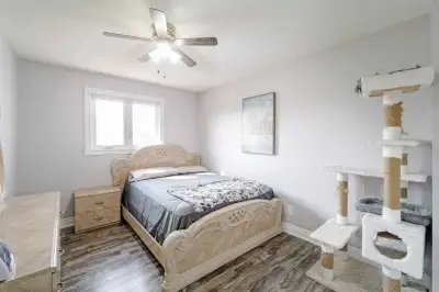 Private Room available to rent immediately in Brampton