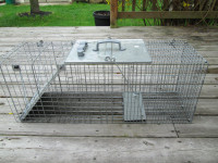 Animal trap for RENT