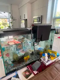 Aquarium with fish