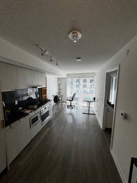 1+1 near Dundas Square For Rent - 2 minutes from Eaton Centre