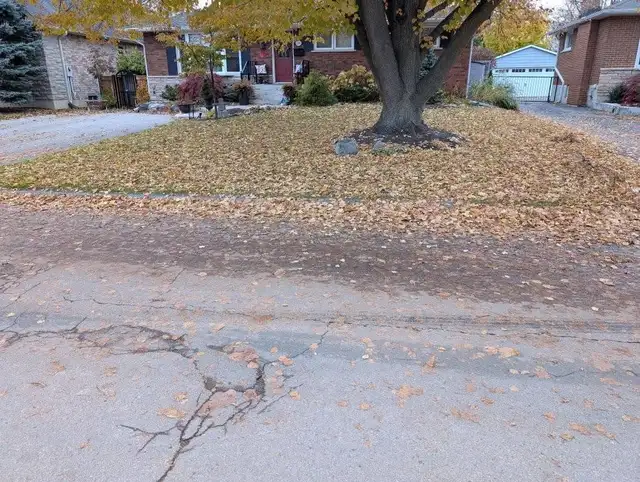 Fall Clean Up 2026576946675029135366