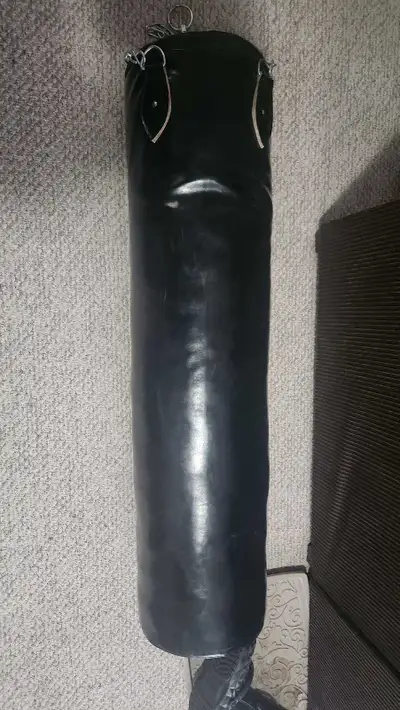 Punching Bag/Heavy bag 100$ OBO, View more