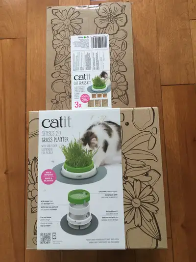 Cat grass planter kit for sale, View more