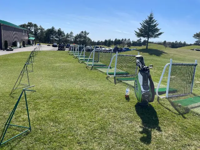 $50- $60 Golf Lessons- Whitby/Ajax/Oshawa/Pickering63006659110659123