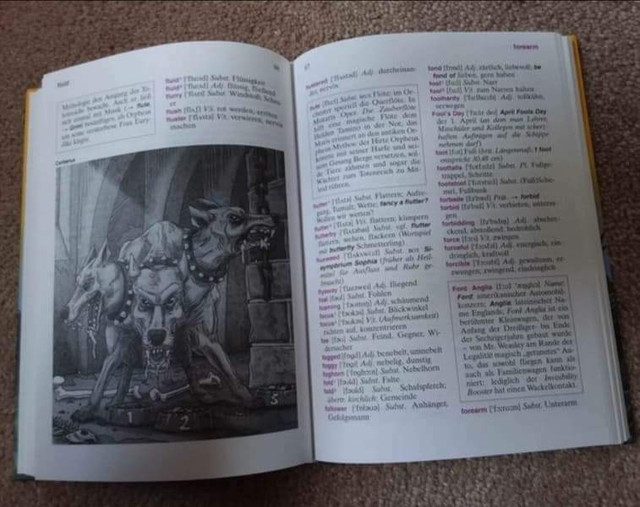 Harry Potter English-German dictionary dans Livres jeunesse et ados  à Région d’Oakville/Halton - Image 3