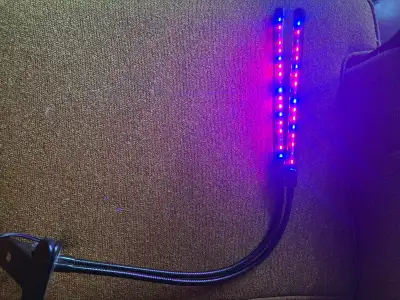  Plant Grow Light, View more