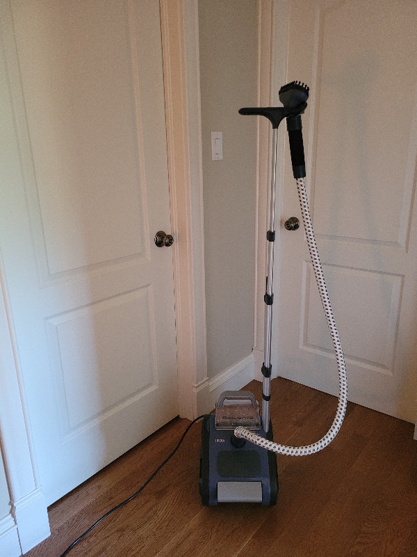 Rowenta Professional Garment Steamer, Irons & Garment Steamers St