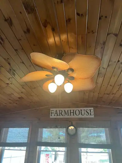 ceiling fan light, View more