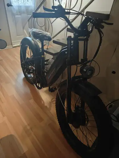 Freesky dual motor ebike Ranger M-540, Price is NEGO, View more