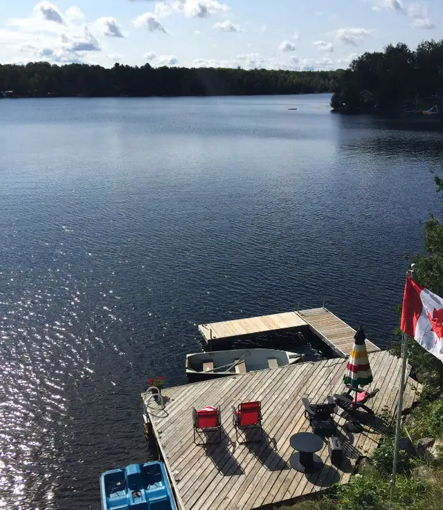 Cottage on Cordova Lake Booking  2026 GREAT FISHING in Ontario in Canada - Image 5