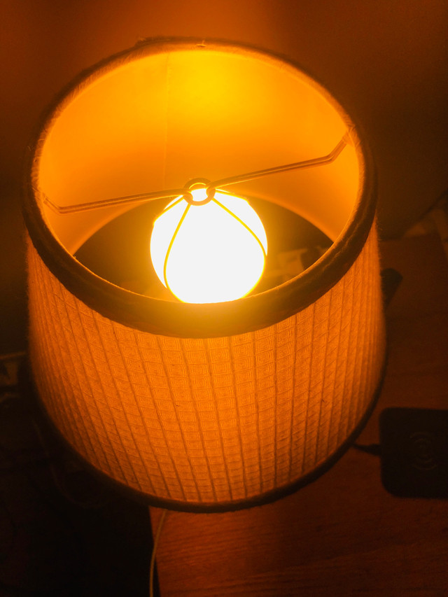 Cute table lamp with bulb, pick up in ne Calgary  in Indoor Lighting & Fans in Calgary - Image 3