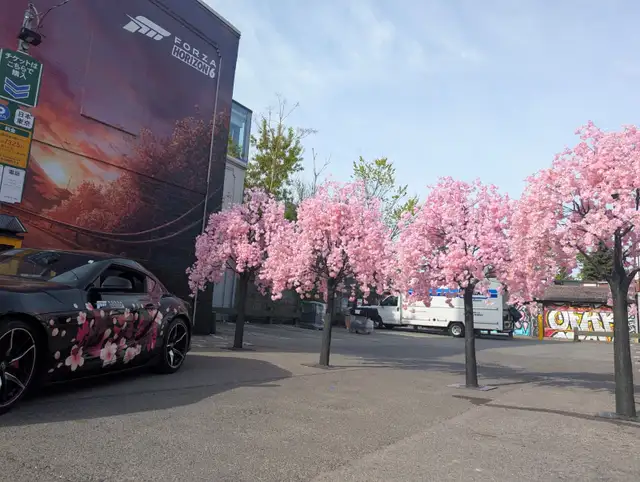 Luxury Cherry Blossom Trees | Straight, Arched & Weeping Styles in Home Décor & Accents in Mississauga / Peel Region - Image 7