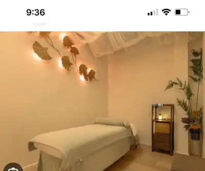 professional massage therapist, View more