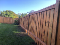 Complete fence and more 