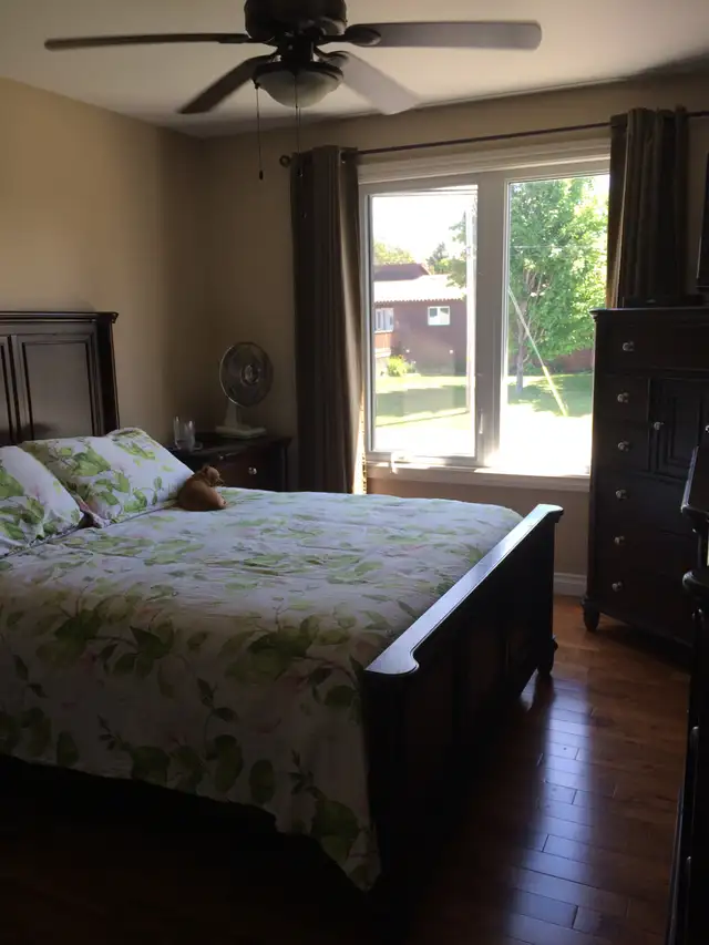 House for sale Sturgeon Falls - $525,000 in Houses for Sale in North Bay - Image 9