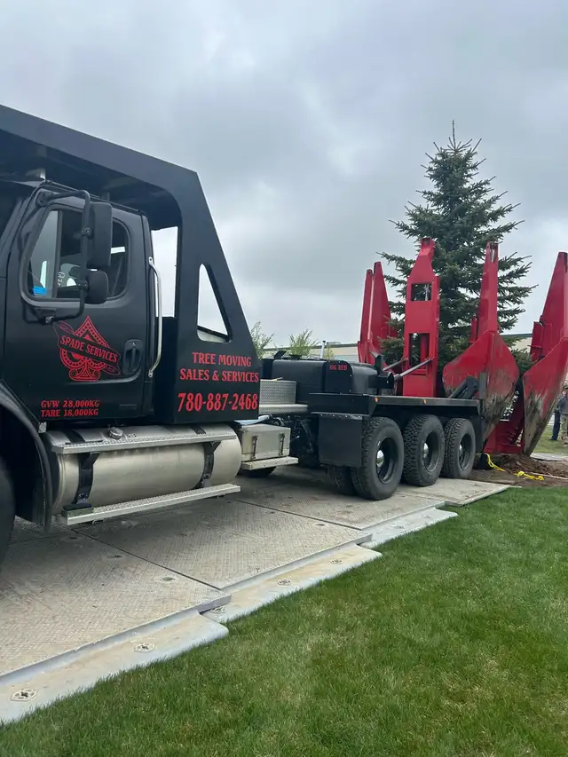 tree sales and moving62863246117249122