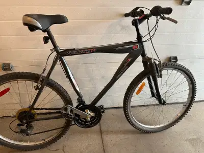 Raliegh Mountain Bike , View more