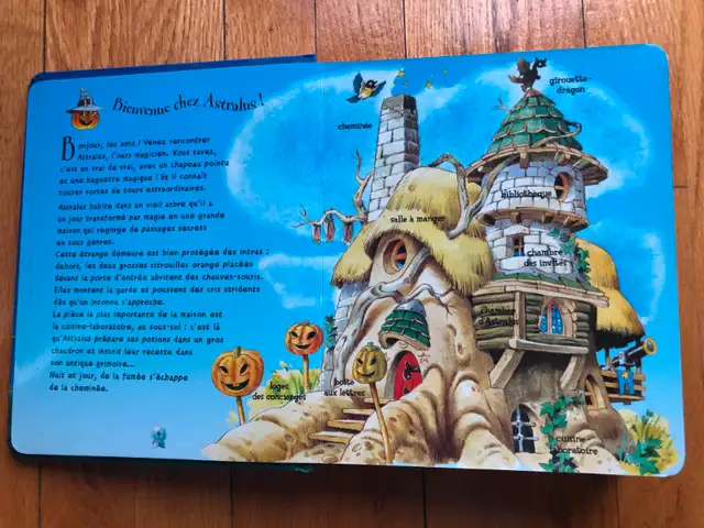 CHILDREN'S BOOK * ASTRALUS THE LITTLE MAGIC BEAR *63006662105089121
