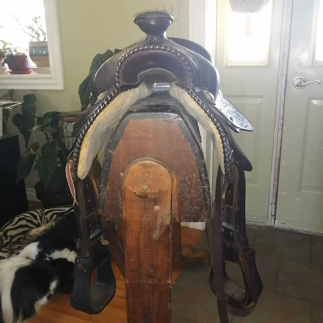 Western saddle in Equestrian & Livestock Accessories in Annapolis Valley - Image 4