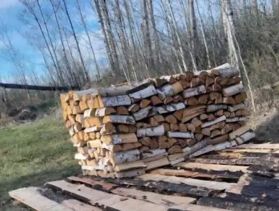 Birch firewood , View more