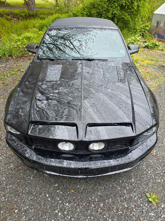 2006 Mustang GT Convertible in Cars & Trucks in Yarmouth