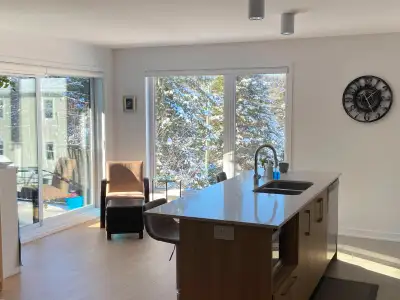 Très grand 4 ½ (1176 pi2 habitable) situé à Sainte-Adèle dans un immeuble neuf (juin 2025) sur une r...