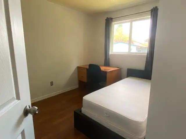 STUDENT RENTAL FOR WESTERN AND FANSHAWE STUDENTS in Room Rentals & Roommates in London - Image 2