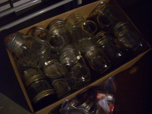 jam and jelly bottles- hundreds in Other in Saint John