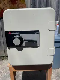 Sentry 1250 Safe