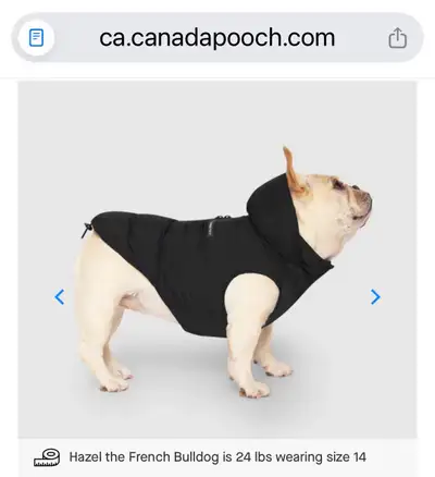 Dog puffer jacket with hood, View more