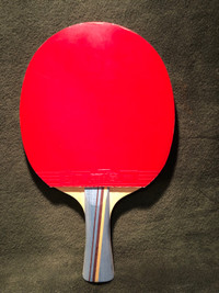 Pingpong paddle / Table tennis racket 
