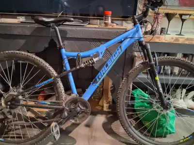 Raleigh Huck 29 in dual suspension bright blue like new cinditio, View more