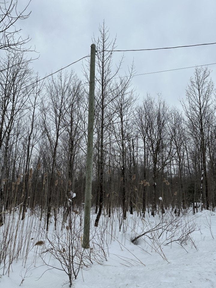 Lots For Sale/terrains à Vendre - Chemin Gilbert, Eastman, Ets — photo 3