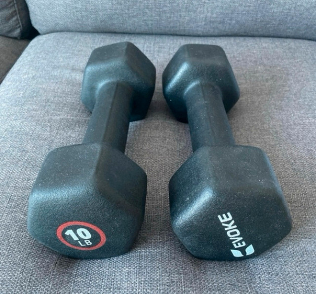 Poids haltère 10lbs Dumbbells dans Appareils d'exercice domestique  à Longueuil/Rive Sud