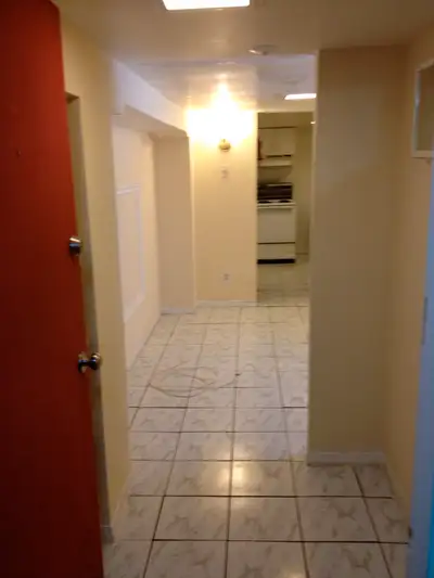 *NEW* 1 BEDROOM- GLEBE AVE- BASEMENT SUITE-CARLETON U-SEPT 1ST