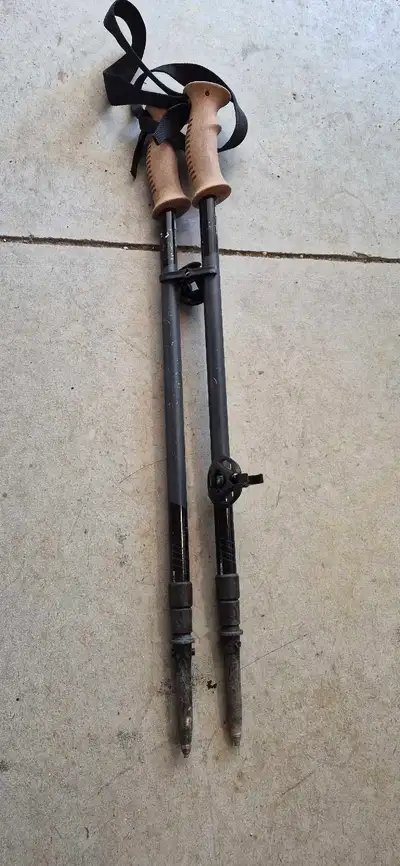 Mountain Equipment Company Trekking Poles, View more