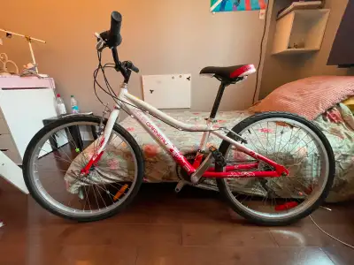 Vélo 24 po Louis Garneau, View more