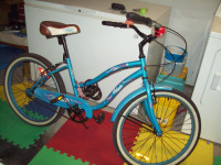 Bicycle - $100