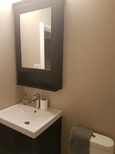 Ikea Hemmes bathroom vanity set in black/brown colour. Would be prefect for a powder room, or small...